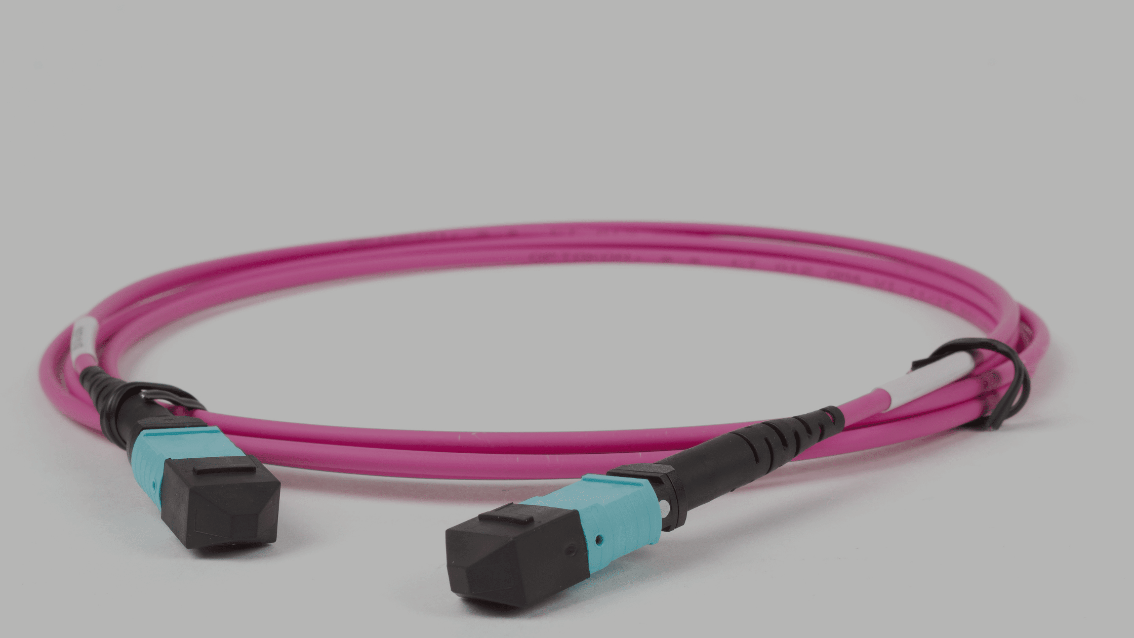 MTP/MPO Cables