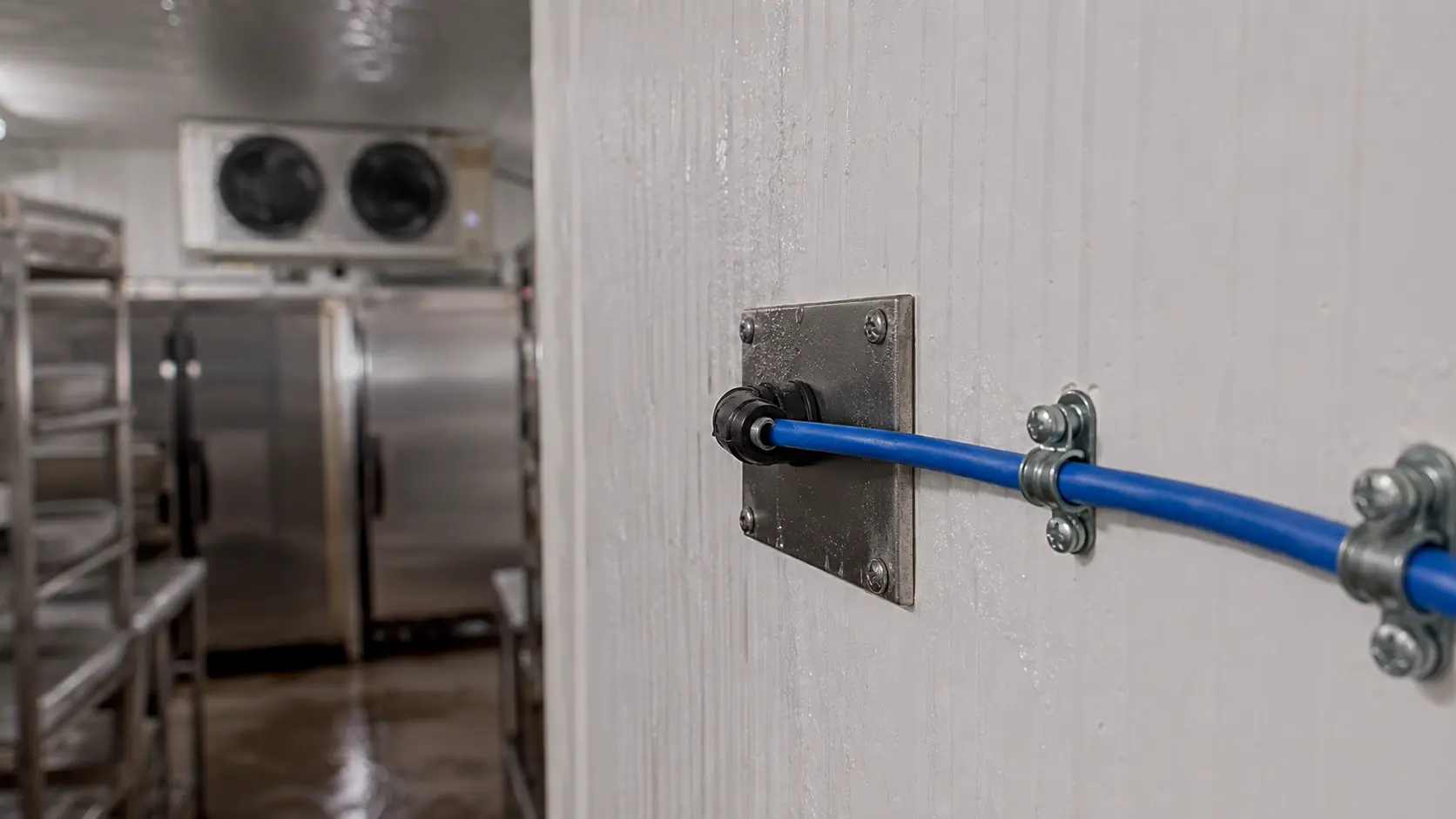 Cloud kitchens cabling project 3
